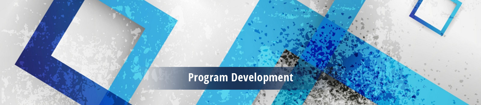 Cybersecurity Program Development; Cybersecurity Privacy Management; Vulnerability Management